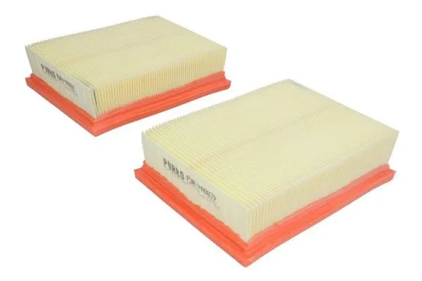 Air Filter (PUR-PA0039)
