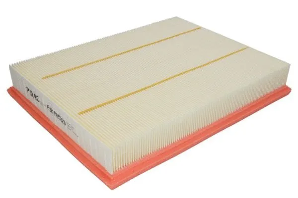 Air Filter (PUR-PA5029)