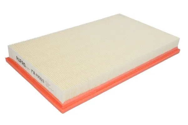 Air Filter (PUR-PA5019)