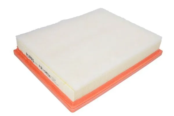 Air Filter (PUR-PA4034)