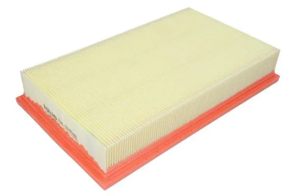 Air Filter (PUR-PA3048)