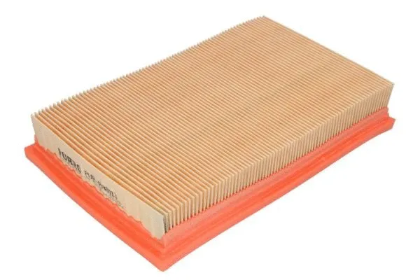 Air Filter (PUR-PA8113)