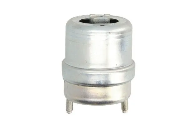 Mounting, engine (RH11-0129)