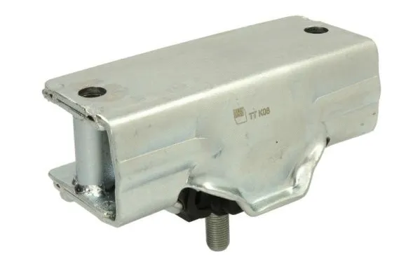 Holder, engine mounting system