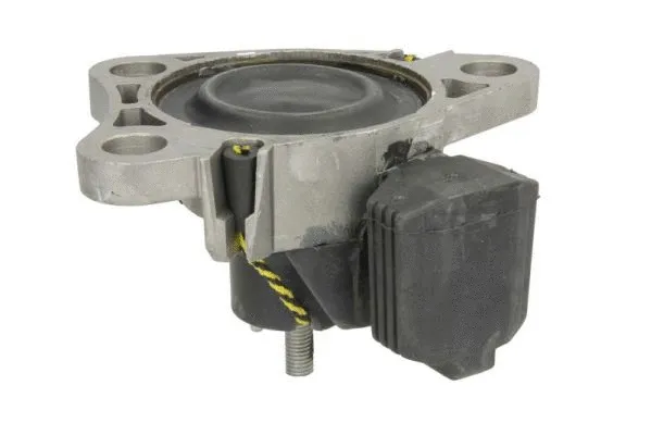 Holder, engine mounting system
