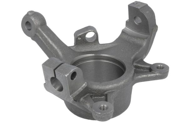 Steering Knuckle, wheel suspension (RH08-5021)