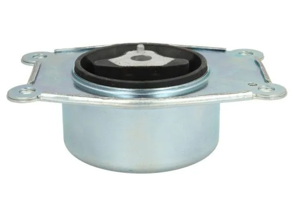 Holder, engine mounting system