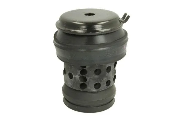Mounting, engine (RH11-0018)