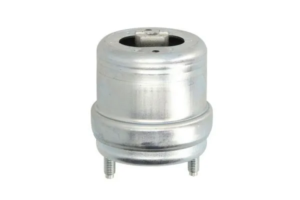 Mounting, engine (RH11-0054)