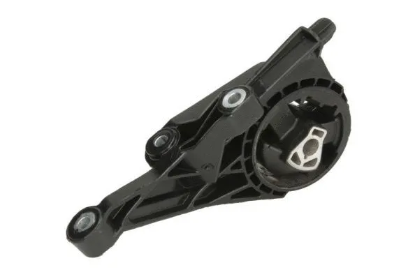 Holder, engine mounting system