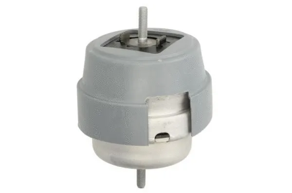 Mounting, engine (RH11-0063)