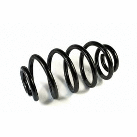 Suspension Spring (12108725)