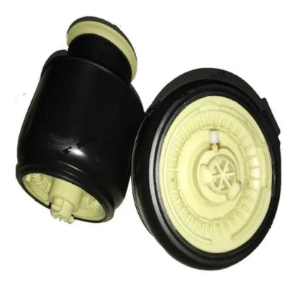Air Spring, suspension (12117113)