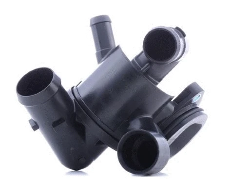 Thermostat, coolant (12165247)