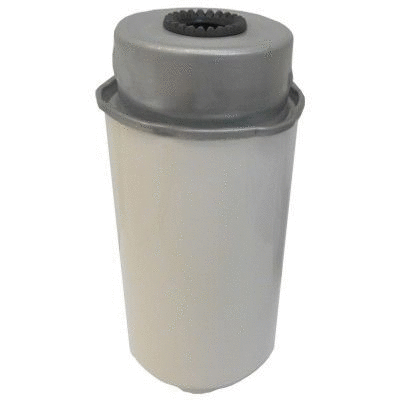 Fuel Filter (12138524)