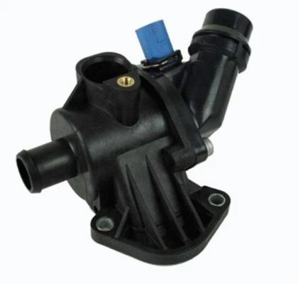 Thermostat, coolant (12115643)