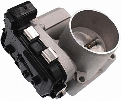Throttle Body (12172438)