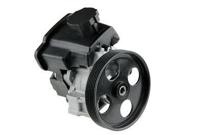 Hydraulic Pump, steering (12139130)