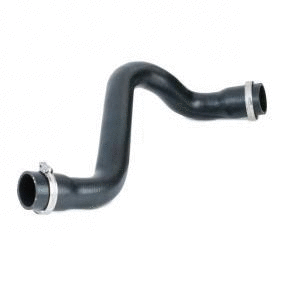 Charge Air Hose (12166002)