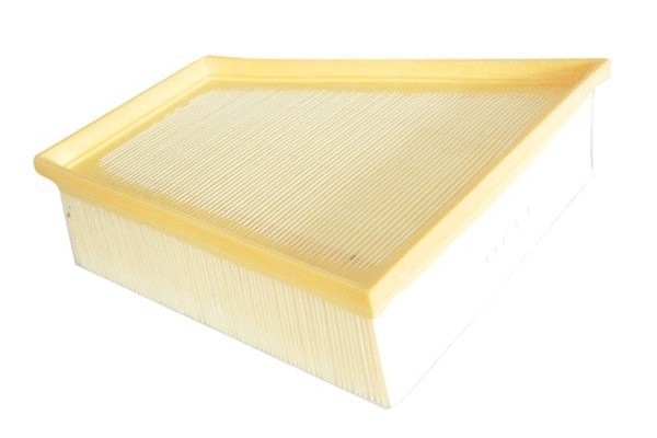 Air Filter (12135382)