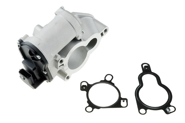 EGR Valve (12176121)
