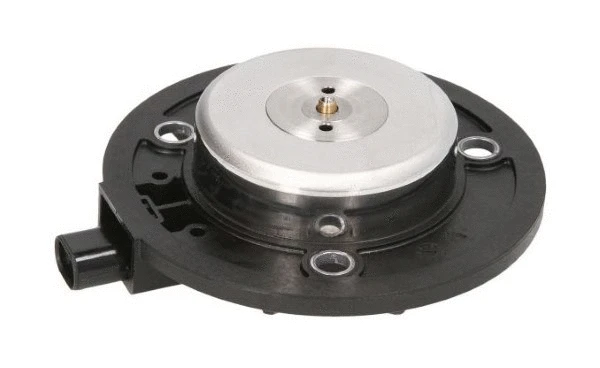 Central Magnet, camshaft adjustment (12189251)