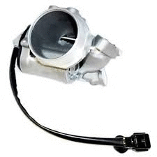 EGR Valve (12164054)