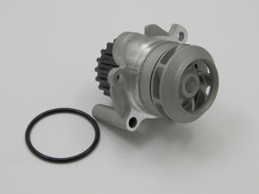 Water Pump, engine cooling (12119994)
