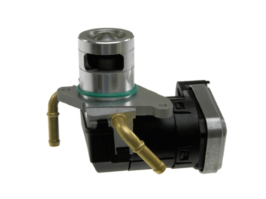 EGR Valve (12161385)