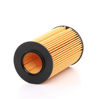 Oil Filter (12138293)