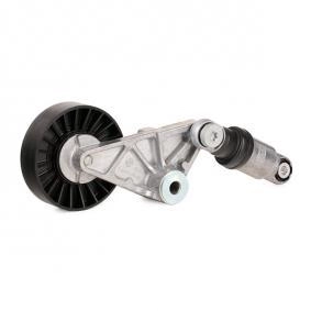 Repair Kit, v-ribbed belt tensioner (12164710)