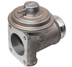 EGR Valve (12164020)