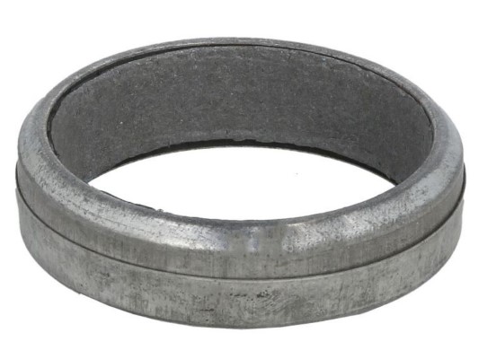 Gasket, exhaust pipe (MT883)