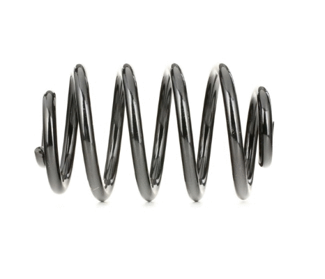 Suspension Spring (12108663)