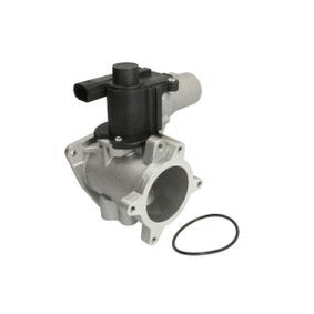 EGR Valve (12171963)