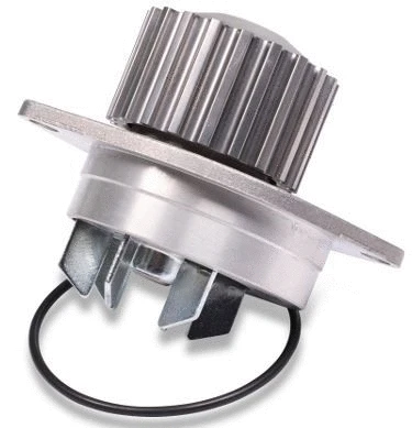Water Pump, engine cooling (12161013)