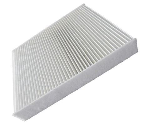 Filter, cabin air (12111793)