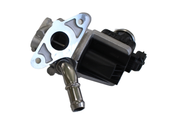 EGR Valve (12106380)