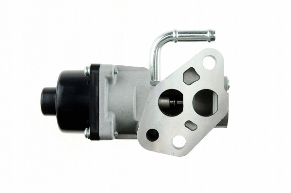 EGR Valve (12115626)