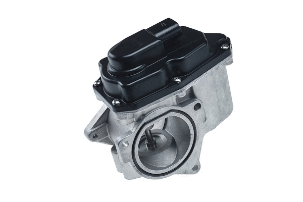EGR Valve (12119886)