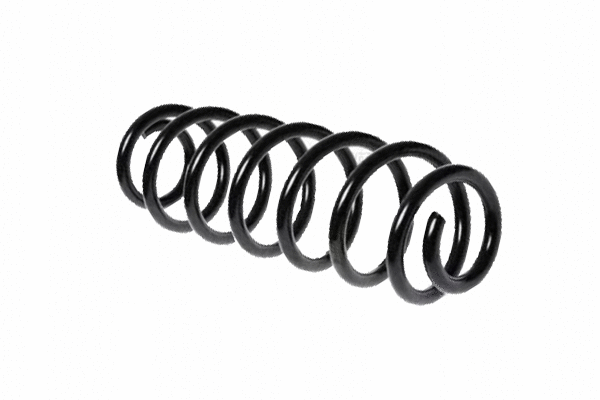 Suspension Spring (12108677)