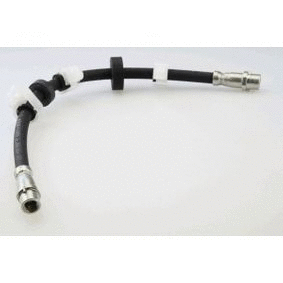 Brake Hose (12162071)