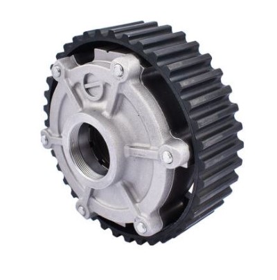 Actuator, exentric shaft (variable valve lift) (12209349)