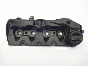 Cylinder Head Cover (12164012)