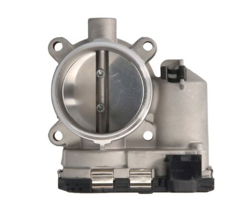 Throttle Body (12208370)