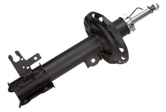 Shock Absorber (10228965)
