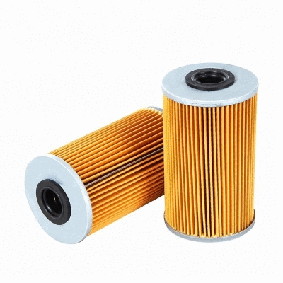 Fuel Filter (12138336)