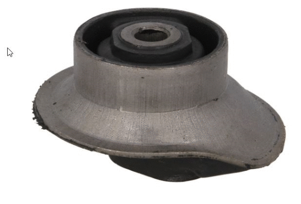 Bushing, axle beam (12162564)