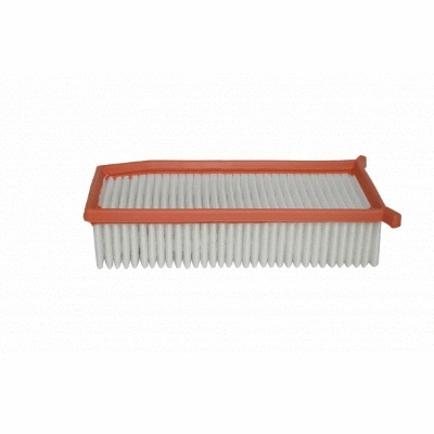 Air Filter (11766965)