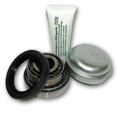 Wheel Bearing Kit (12138131)